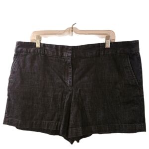 Loft Shorts